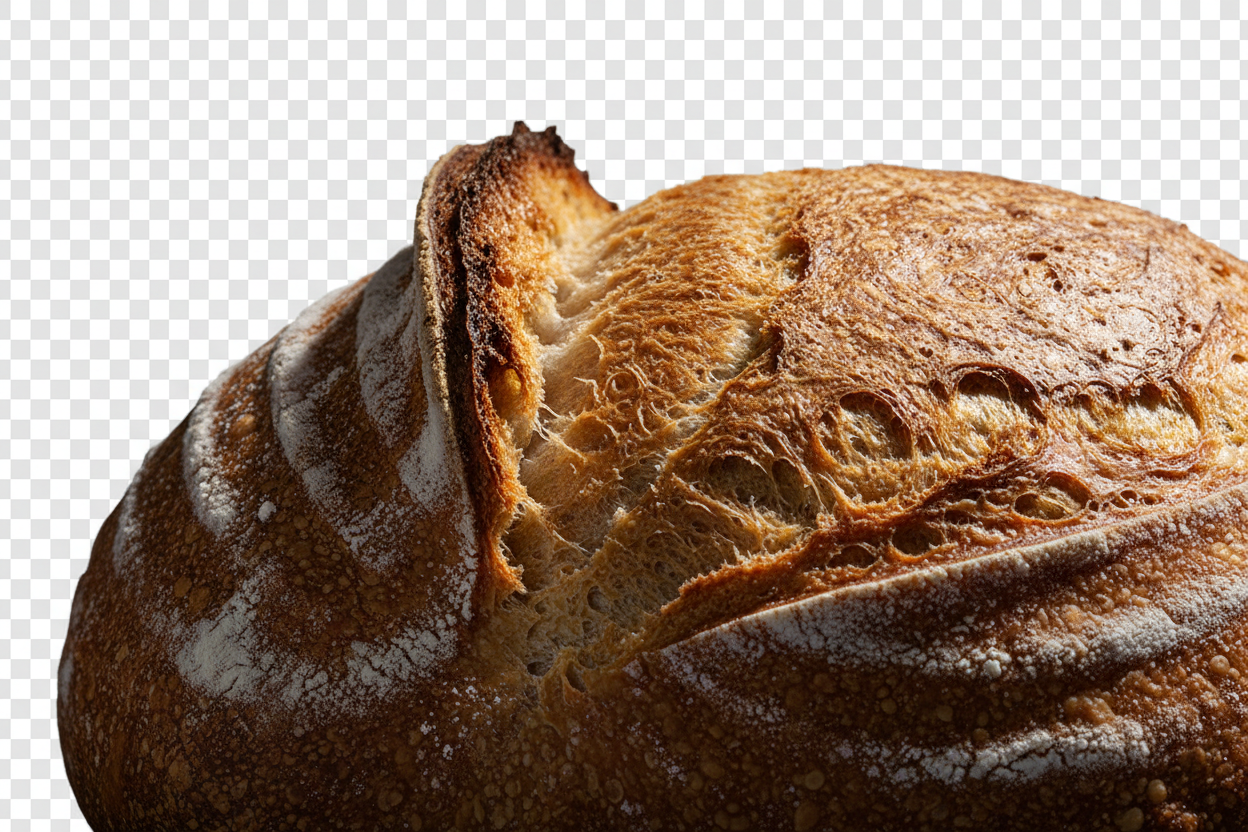 Scoring Ear Close-Up