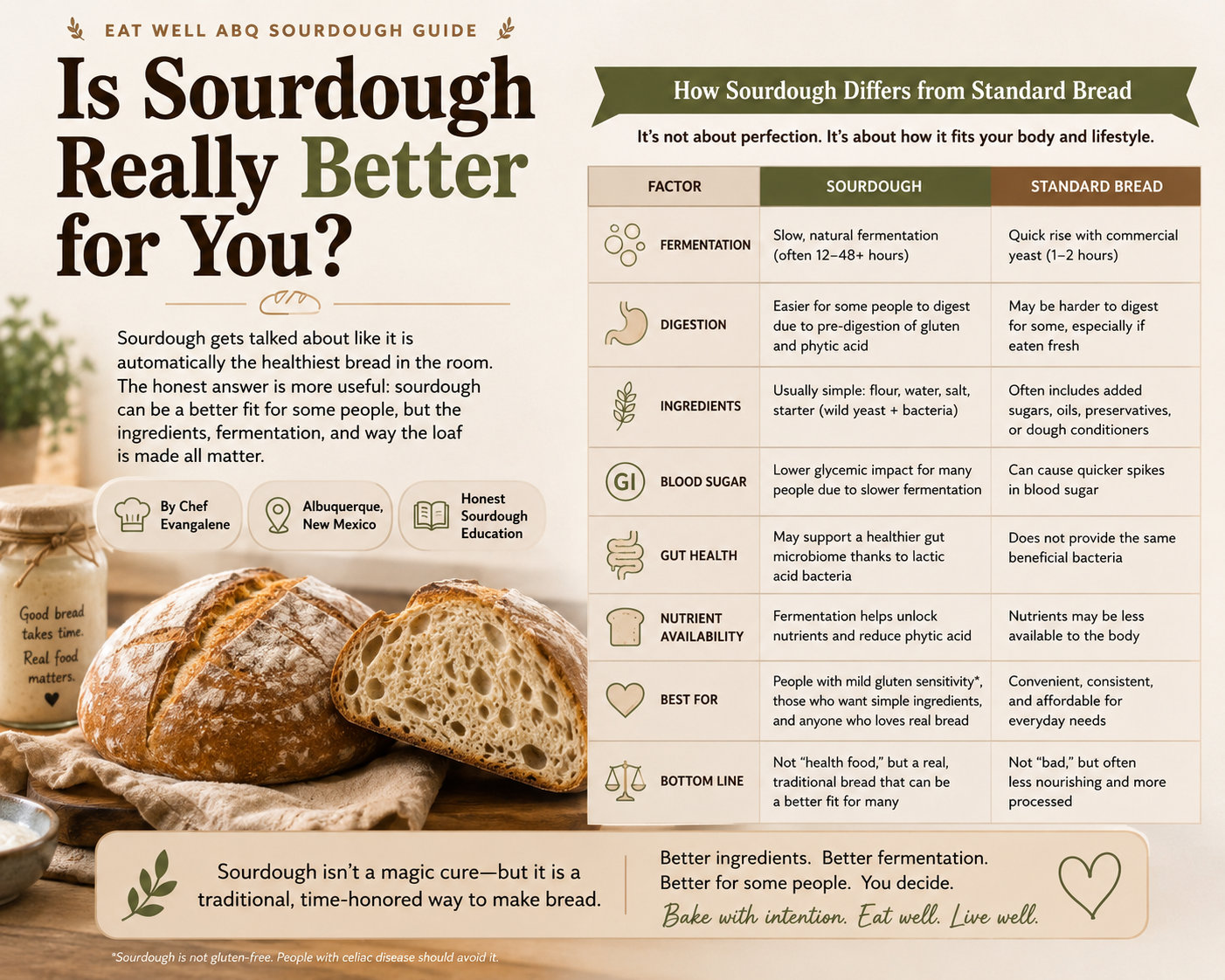 Educational sourdough bread graphic comparing sourdough and standard bread, featuring artisan loaves and a visual guide to fermentation, digestion, ingredients, gut health, blood sugar, and nutrient availability.