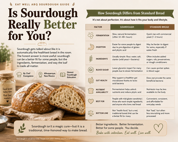 Educational sourdough bread graphic comparing sourdough and standard bread, featuring artisan loaves and a visual guide to fermentation, digestion, ingredients, gut health, blood sugar, and nutrient availability.