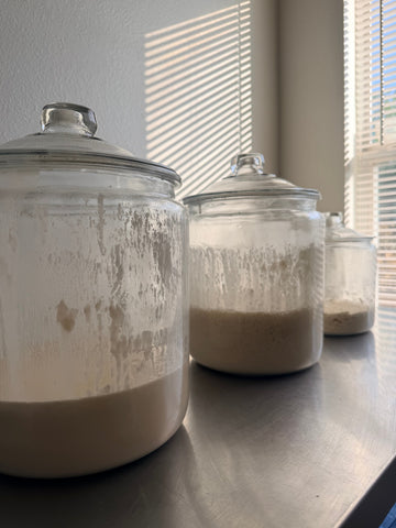 How to Store Sourdough Starter: Counter, Fridge & Backup