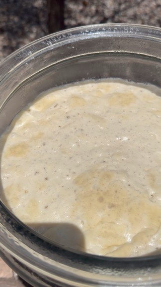 An active sourdough starter in a clear jar