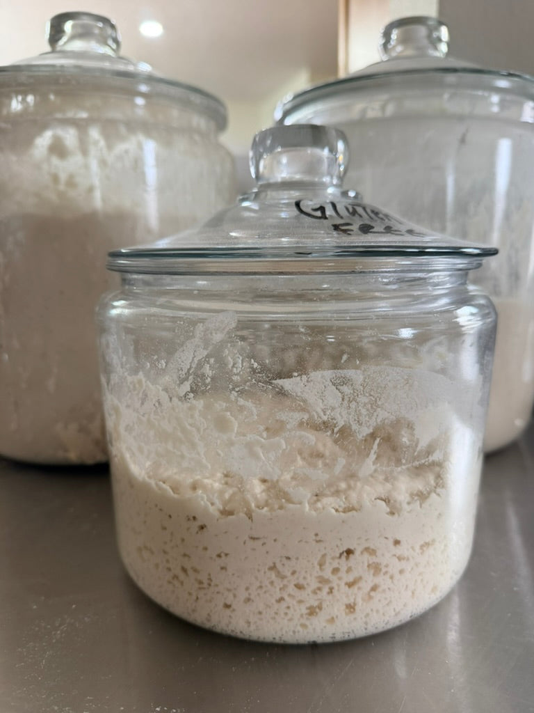 Sourdough loaves showing different proofing conditions