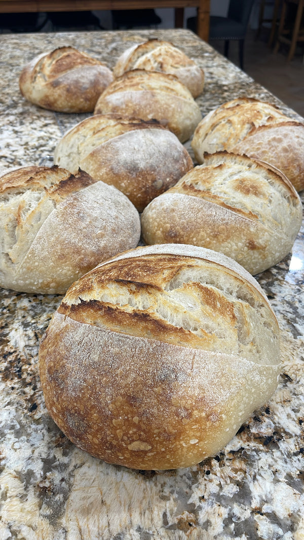 Regular Sourdough Loaf