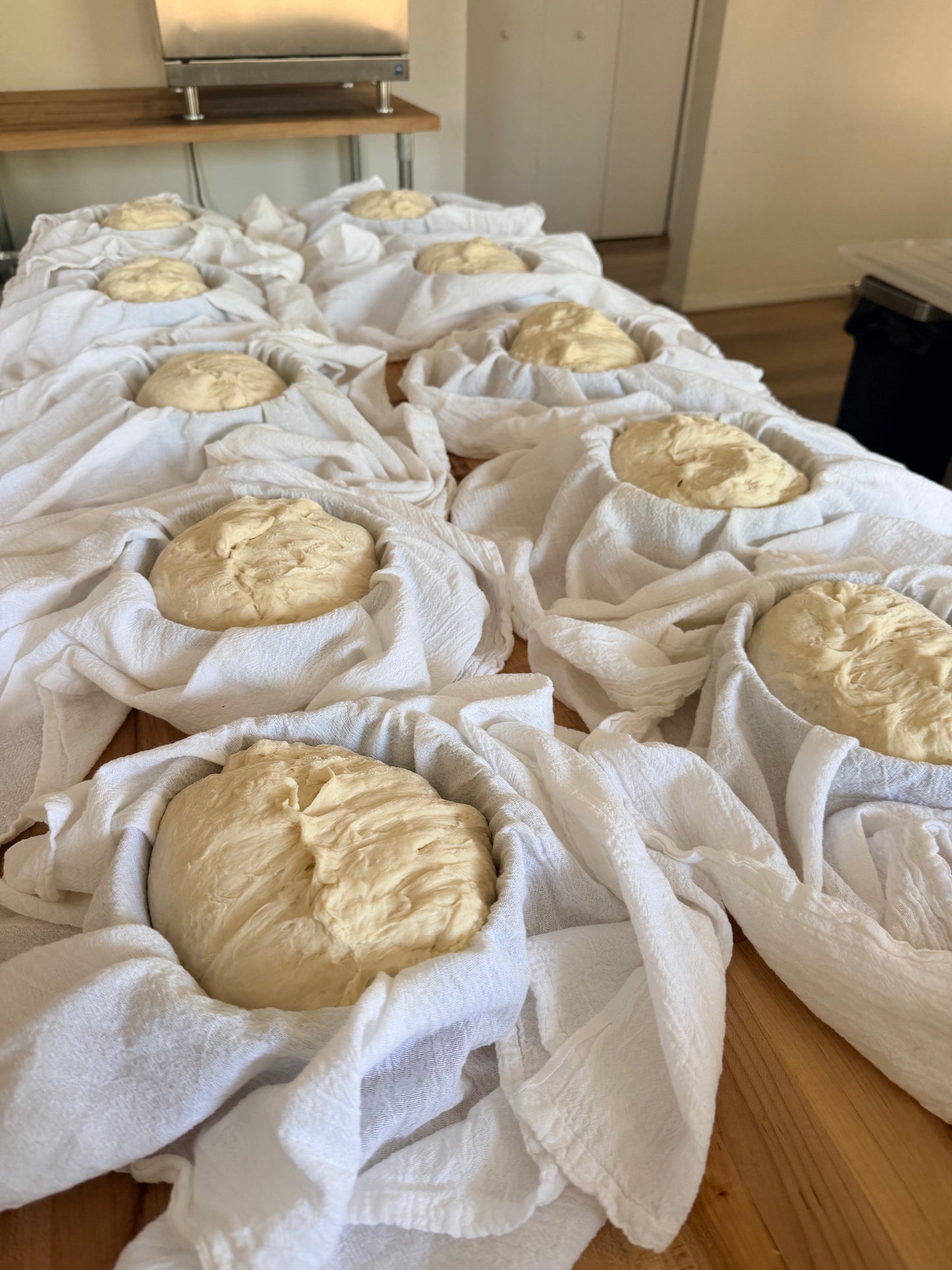 Sourdough Bread Class | November 15, 2PM-5PM | Albuquerque