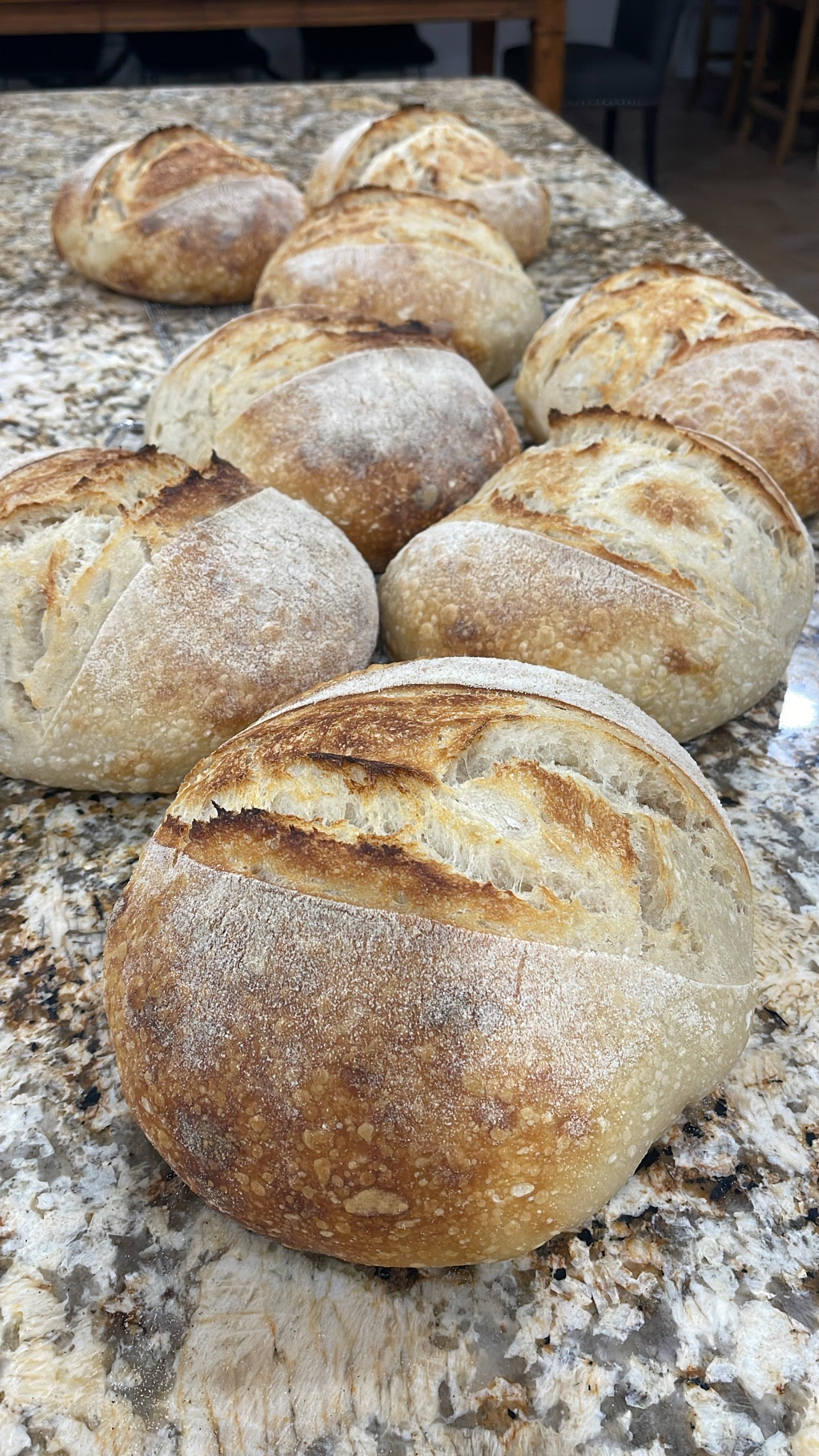 Original Sourdough Loaf from Eat Well ABQ bakery in Albuquerque