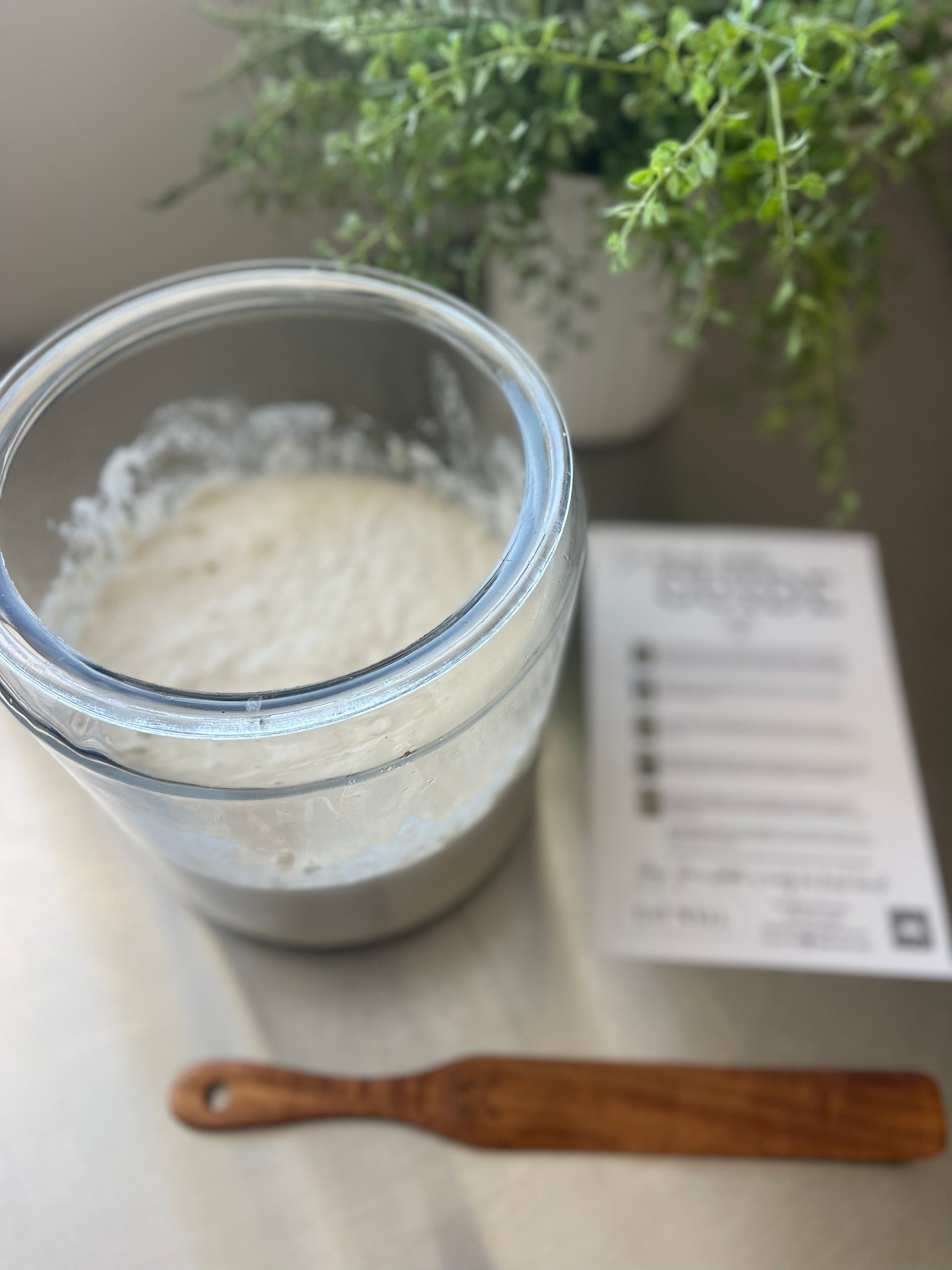 Sourdough starter kit for beginners from Eat Well ABQ