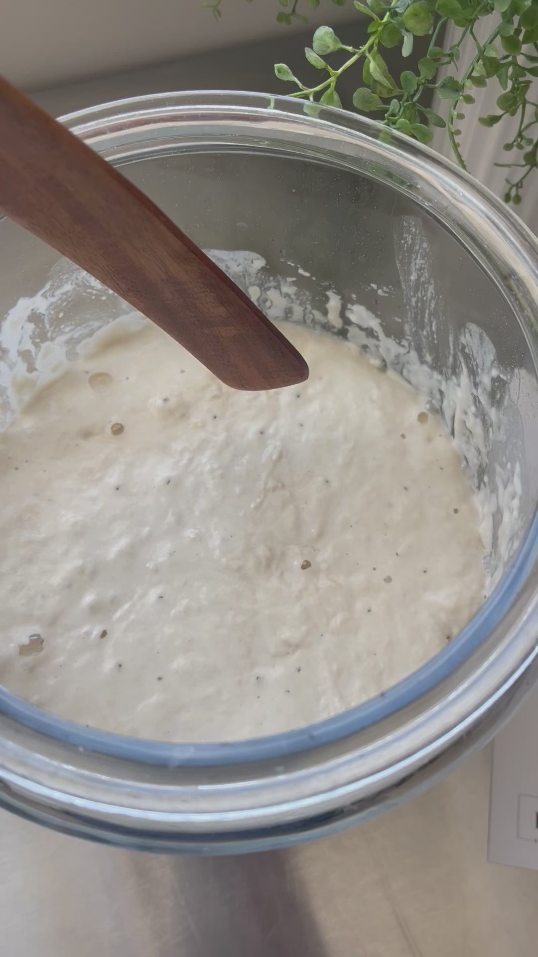 Sourdough starter kit for beginners from Eat Well ABQ